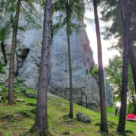 Przy Zamku Gospodarstwo agroturystyczne *