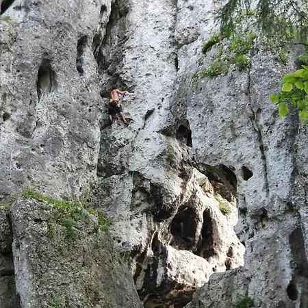 Przy Zamku 팜스테이