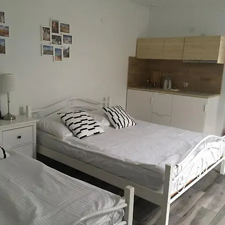 Przy Zamku 팜스테이