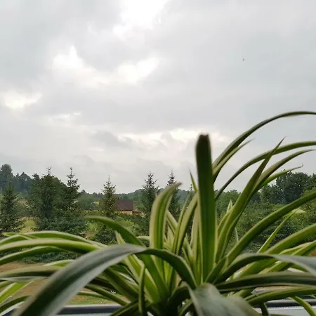 Przy Zamku Agroturismo Podzamcze (Zawiercie)