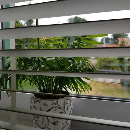 Przy Zamku * Podzamcze (Zawiercie)