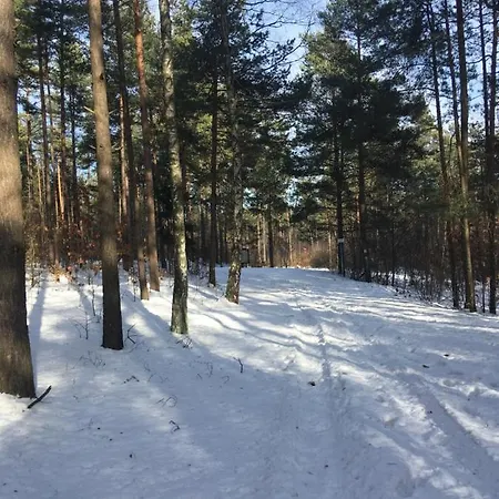 팜스테이 Przy Zamku Podzamcze (Zawiercie)