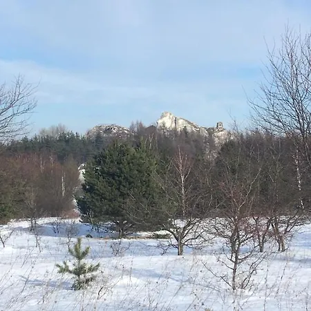 Przy Zamku Podzamcze (Zawiercie)