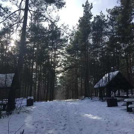 Przy Zamku 팜스테이 Podzamcze (Zawiercie)