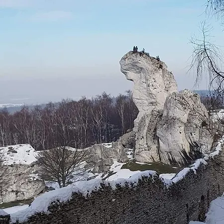 Przy Zamku Gospodarstwo agroturystyczne *