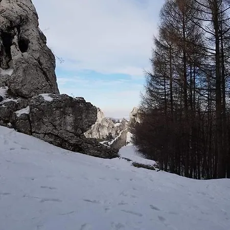 Przy Zamku 팜스테이 Podzamcze (Zawiercie)