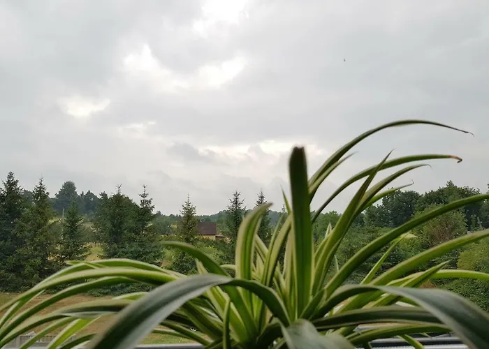 Przy Zamku Farma Podzamcze (Zawiercie)