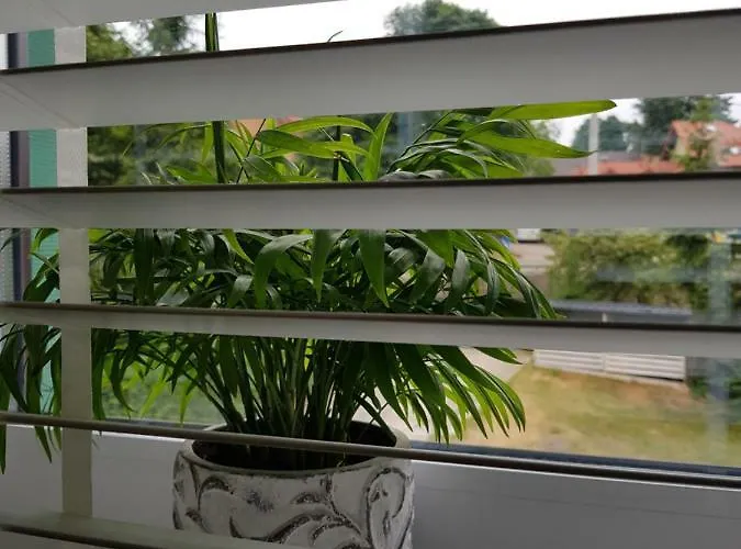 Przy Zamku * Podzamcze (Zawiercie)