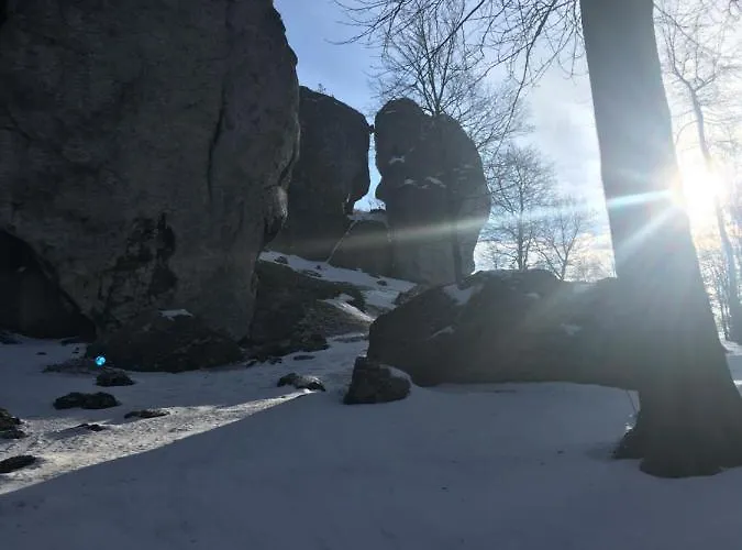 Przy Zamku בית חווה Podzamcze (Zawiercie)