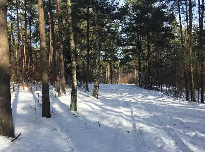 בית חווה Przy Zamku Podzamcze (Zawiercie)