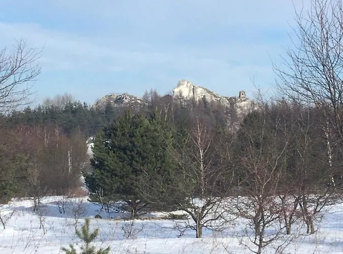 Przy Zamku Podzamcze (Zawiercie)