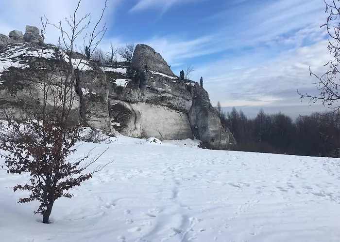 Przy Zamku Podzamcze (Zawiercie)